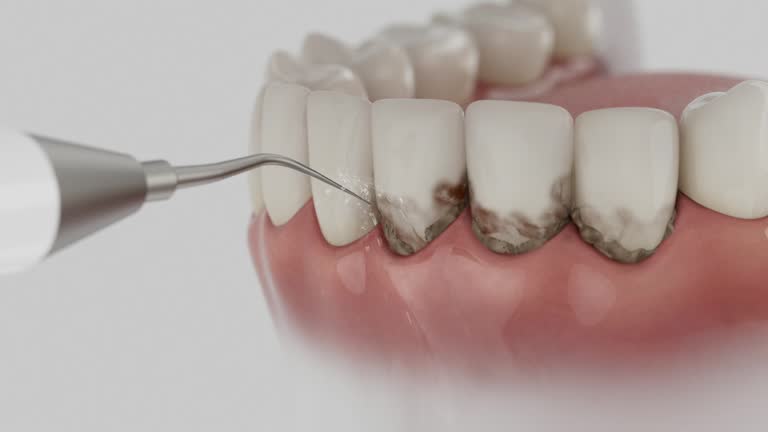 Reliable Dental contractor in Sabina, OH by Dentist Open Now
